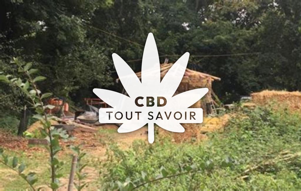 Village à Saint-Leger-des-Pres avec feuille Cannabis CBD