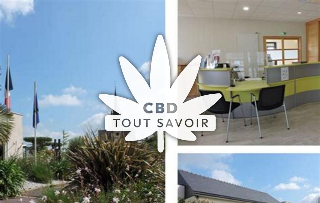 Village à Le-Crouais avec feuille Cannabis CBD