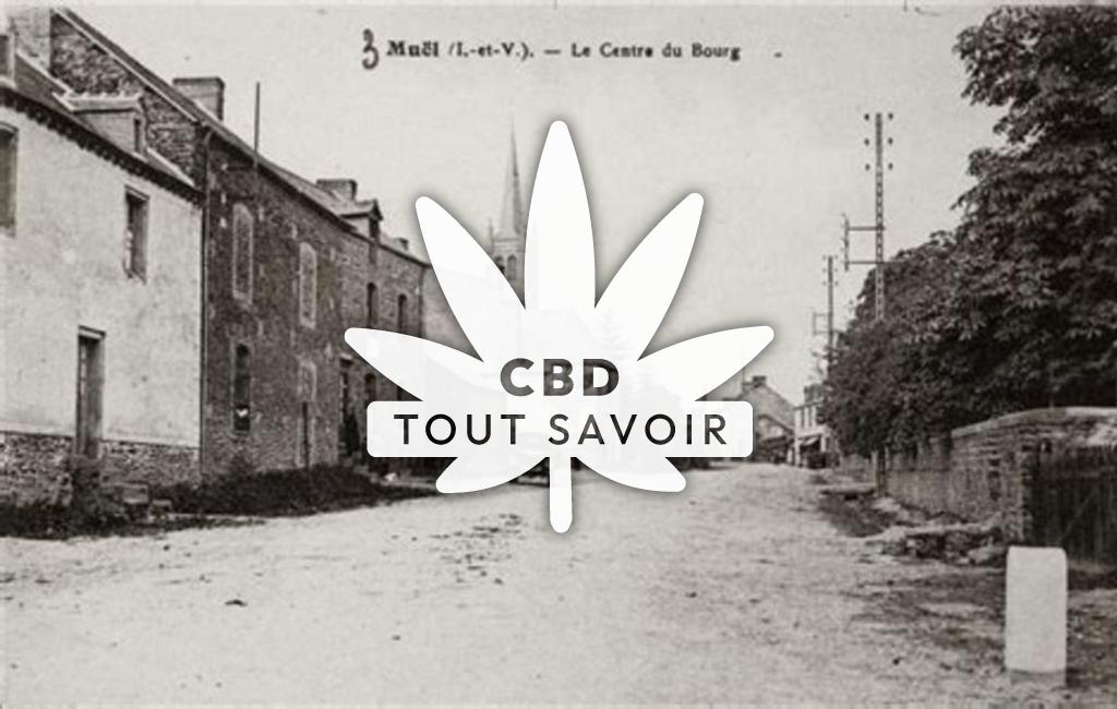 Village à Muel avec feuille Cannabis CBD