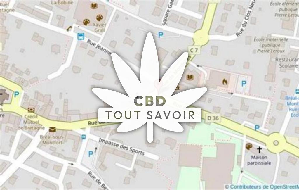 Village à Breal-sous-Montfort avec feuille Cannabis CBD