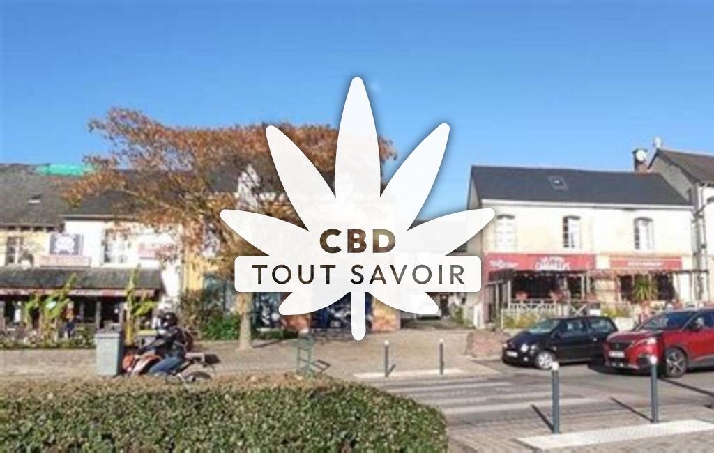 Village à Mordelles avec feuille Cannabis CBD