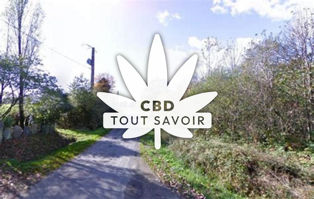 Village à Saint-Thurial avec feuille Cannabis CBD