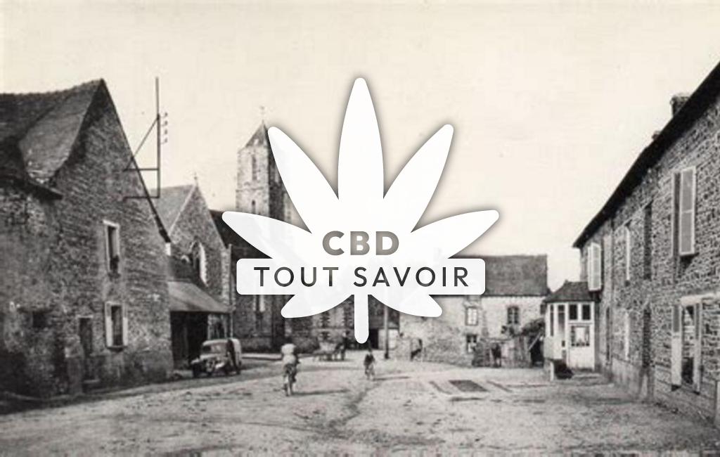 Village à La-Bosse-de-Bretagne avec feuille Cannabis CBD