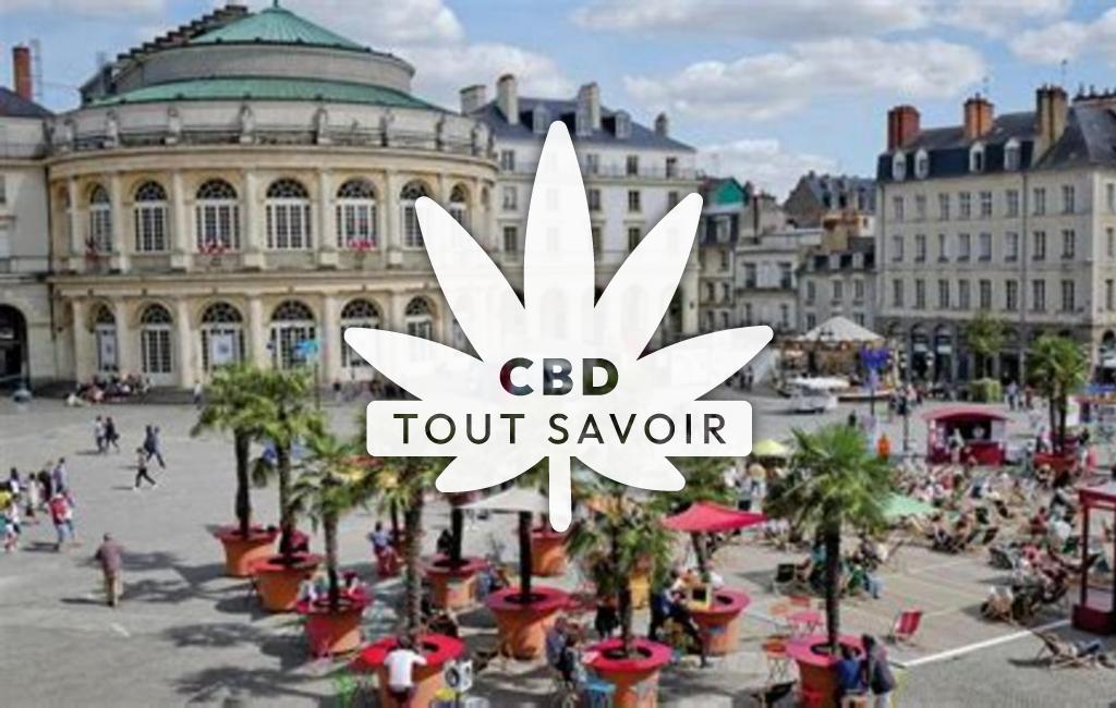 Village à Le-Sel-de-Bretagne avec feuille Cannabis CBD