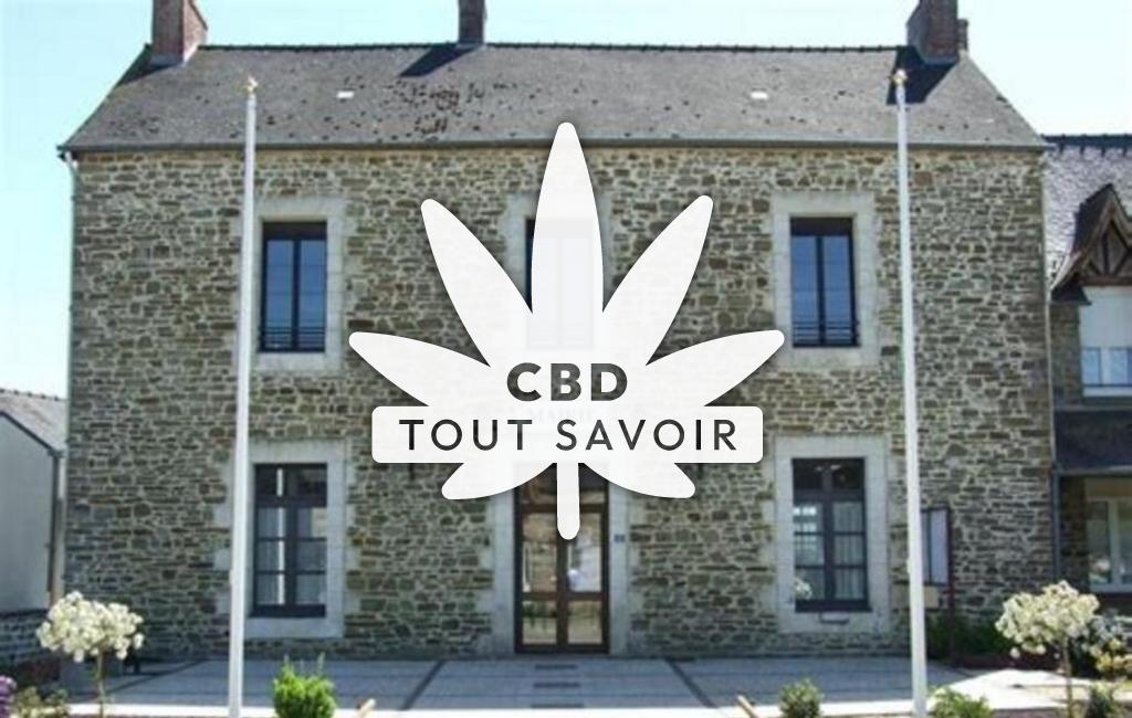 Village à Tresboeuf avec feuille Cannabis CBD
