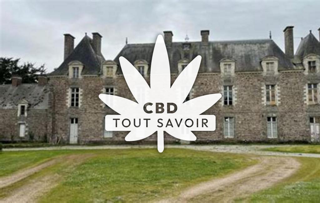 Village à La-Chapelle-Bouexic avec feuille Cannabis CBD