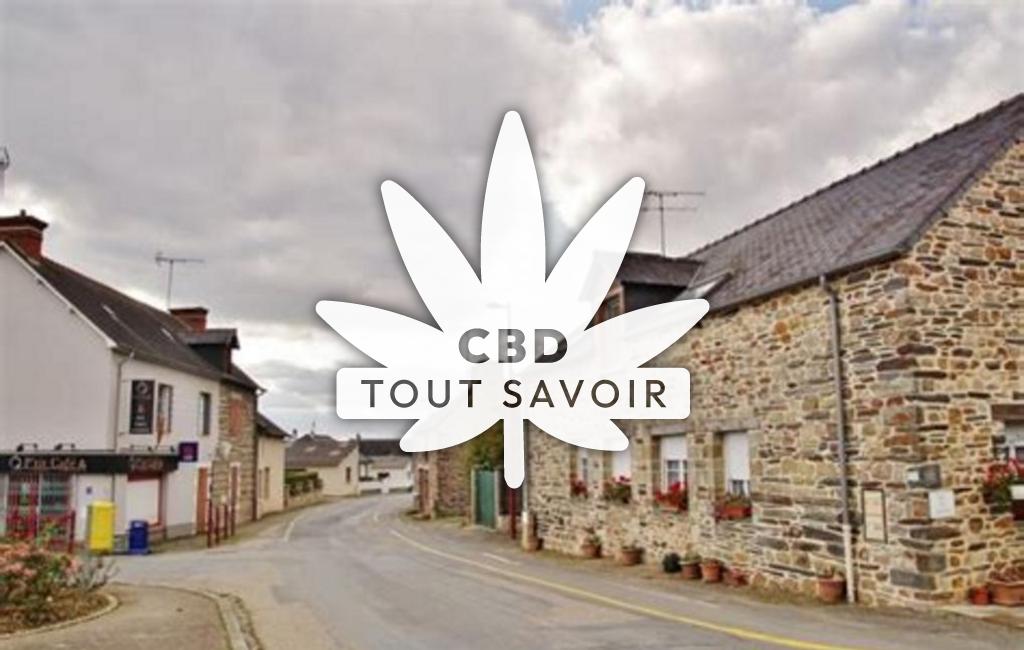 Village à Les-Brulais avec feuille Cannabis CBD