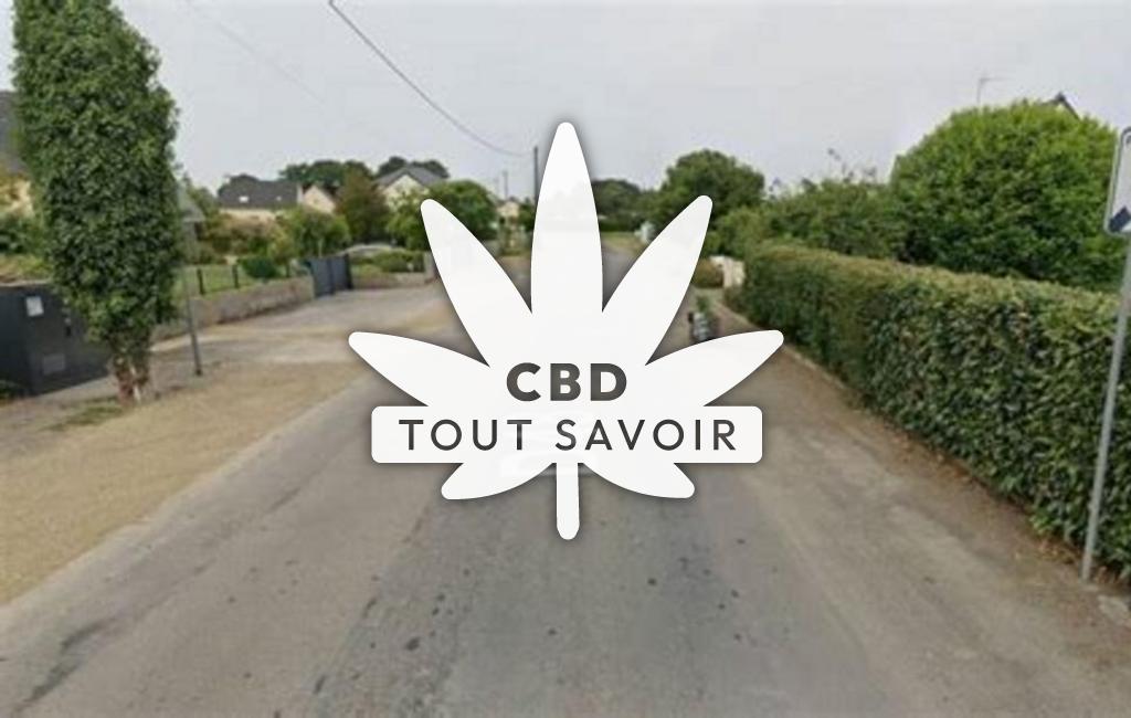 Village à Mernel avec feuille Cannabis CBD