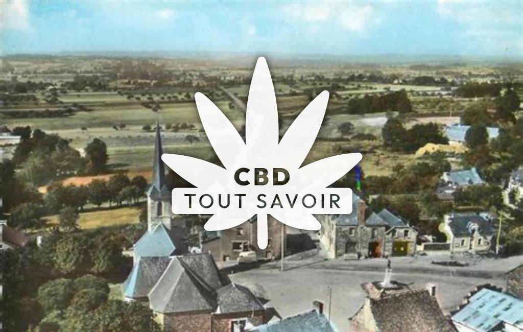 Village à Saint-Seglin avec feuille Cannabis CBD