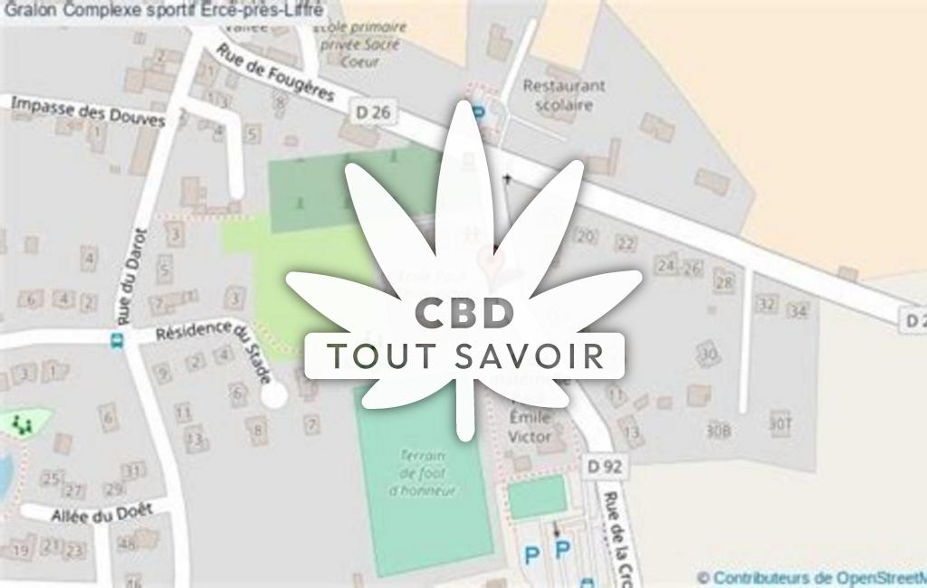 Village à Erce-Pres-Liffre avec feuille Cannabis CBD