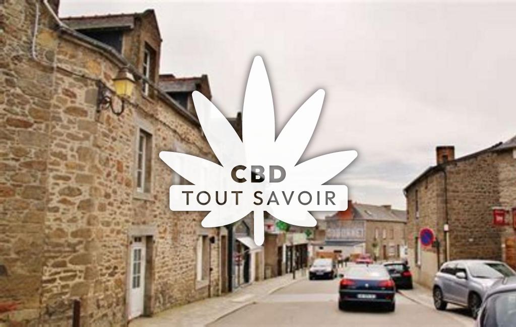 Village à Saint-Coulomb avec feuille Cannabis CBD