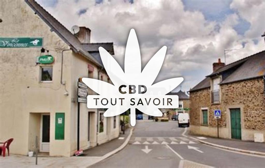 Village à Saint-Meloir-des-Ondes avec feuille Cannabis CBD
