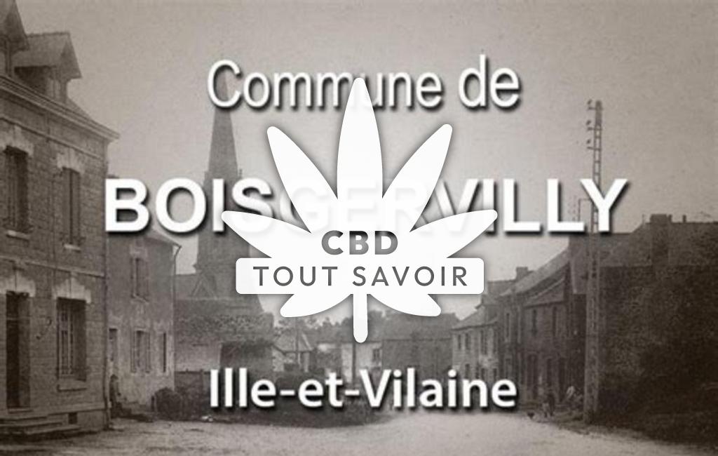 Village à Boisgervilly avec feuille Cannabis CBD