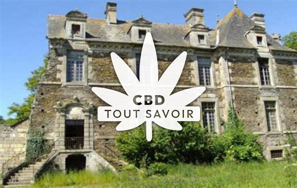 Village à La-Chapelle-du-Lou-du-Lac avec feuille Cannabis CBD