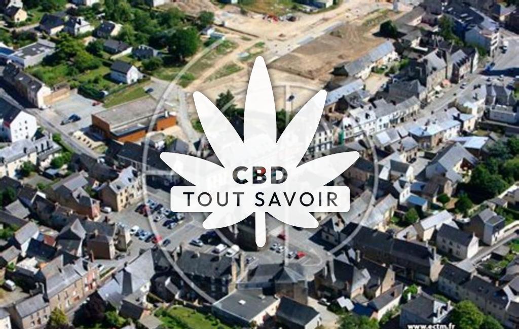 Village à Montauban-de-Bretagne avec feuille Cannabis CBD