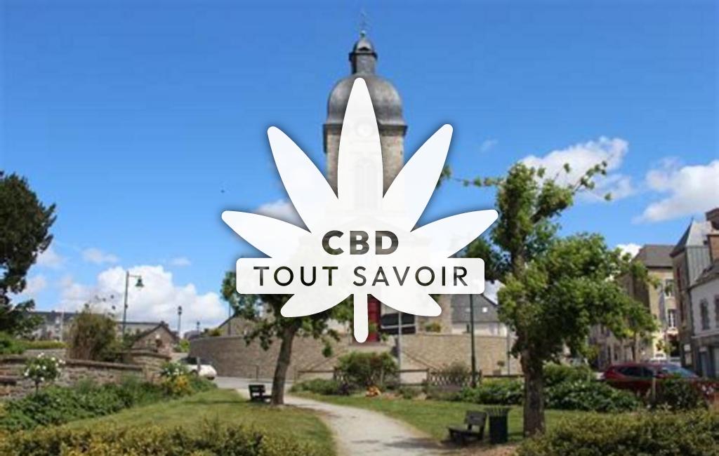 Village à Argentre-du-Plessis avec feuille Cannabis CBD