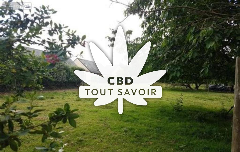 Village à Breal-sous-Vitre avec feuille Cannabis CBD