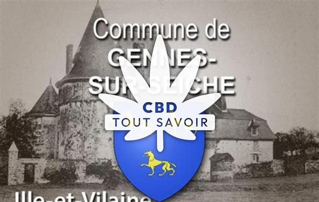 Village à Gennes-sur-Seiche avec feuille Cannabis CBD