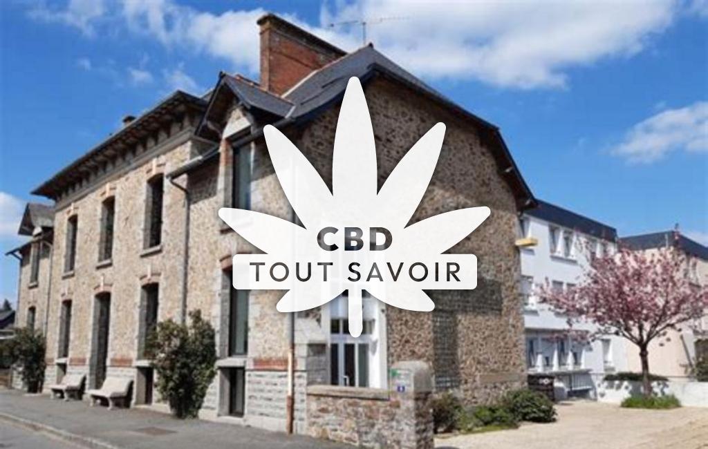 Village à Le-Pertre avec feuille Cannabis CBD