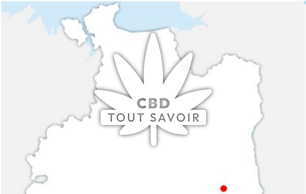 Village à Torce avec feuille Cannabis CBD