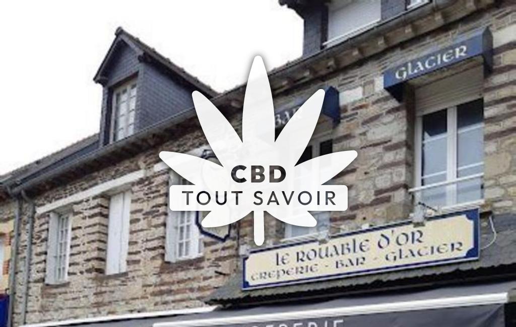 Village à Plelan-le-Grand avec feuille Cannabis CBD