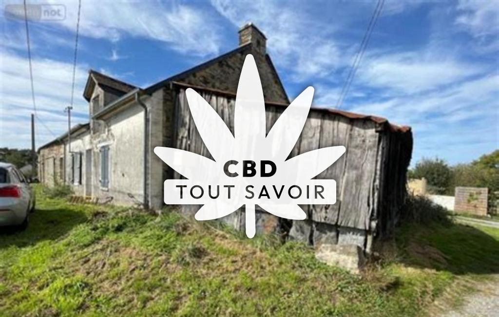 Village à Sainte-Anne-sur-Vilaine avec feuille Cannabis CBD
