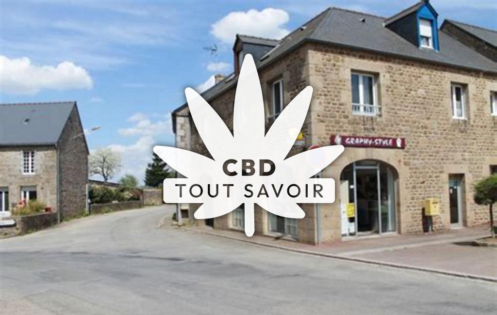 Village à La-Bazouge-du-Desert avec feuille Cannabis CBD