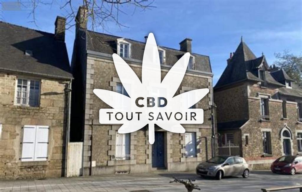 Village à Louvigne-du-Desert avec feuille Cannabis CBD