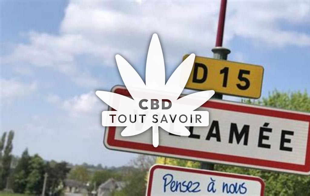 Village à Villamee avec feuille Cannabis CBD