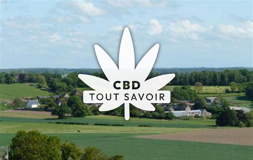 Village à La-Ville-Es-Nonais avec feuille Cannabis CBD