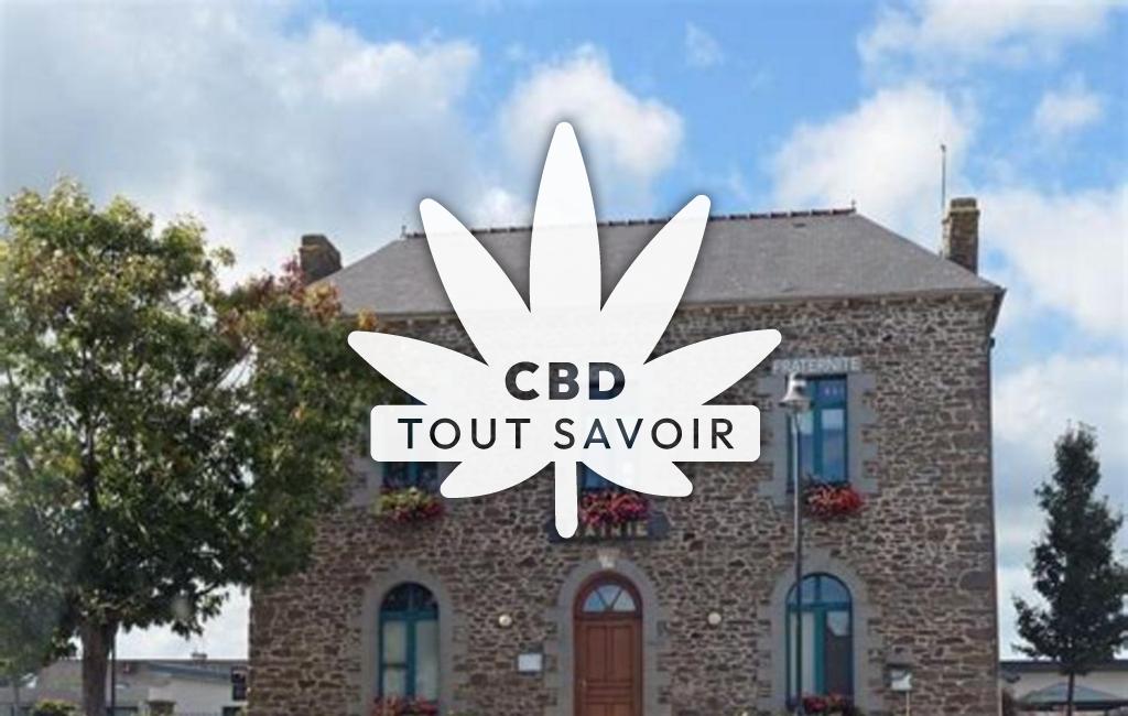 Village à Saint-Guinoux avec feuille Cannabis CBD