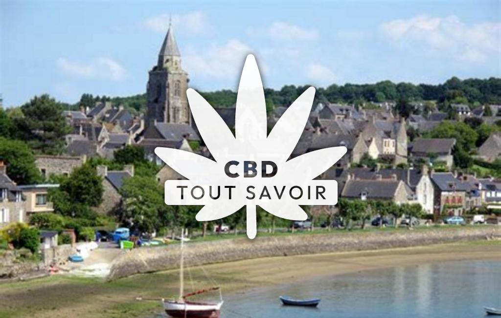 Village à Saint-Jouan-des-Guerets avec feuille Cannabis CBD