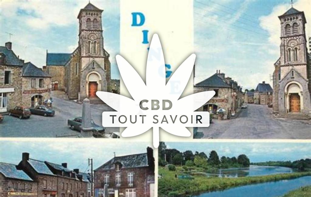 Village à Dinge avec feuille Cannabis CBD
