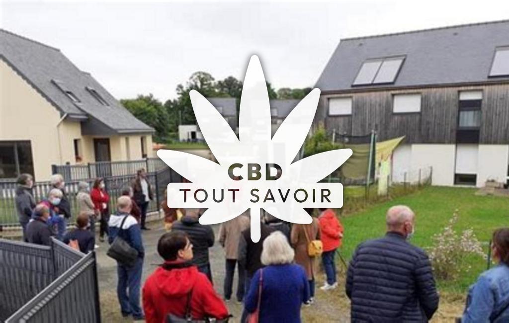 Village à Guipel avec feuille Cannabis CBD