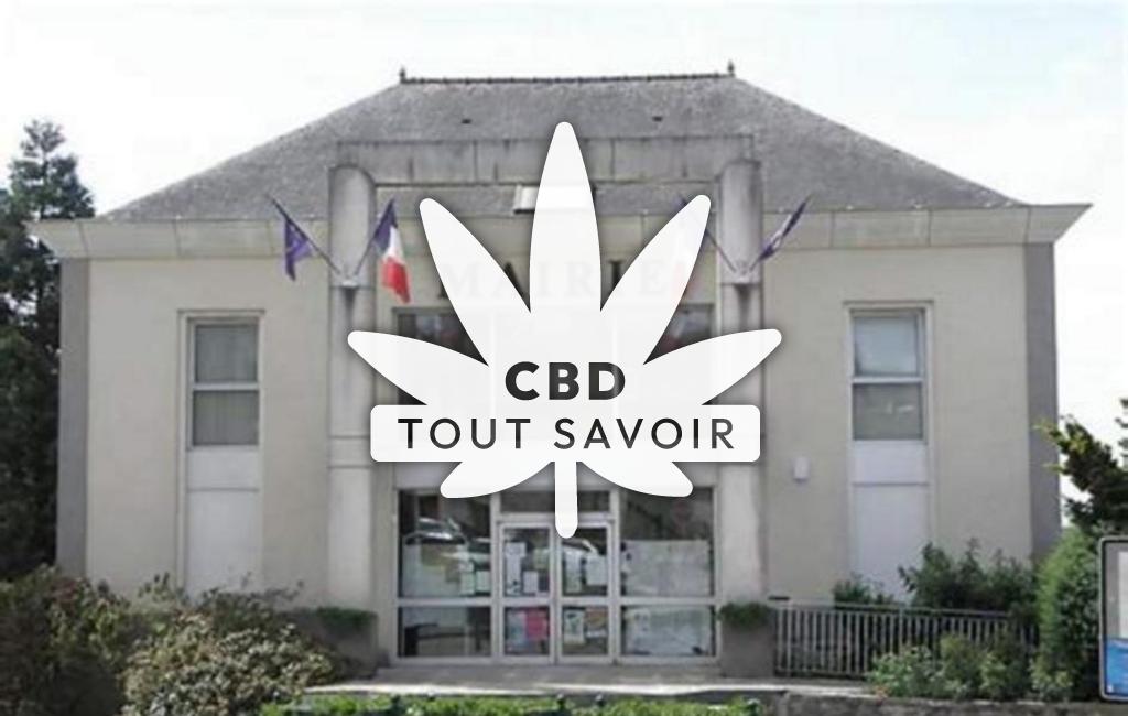 Village à Dourdain avec feuille Cannabis CBD