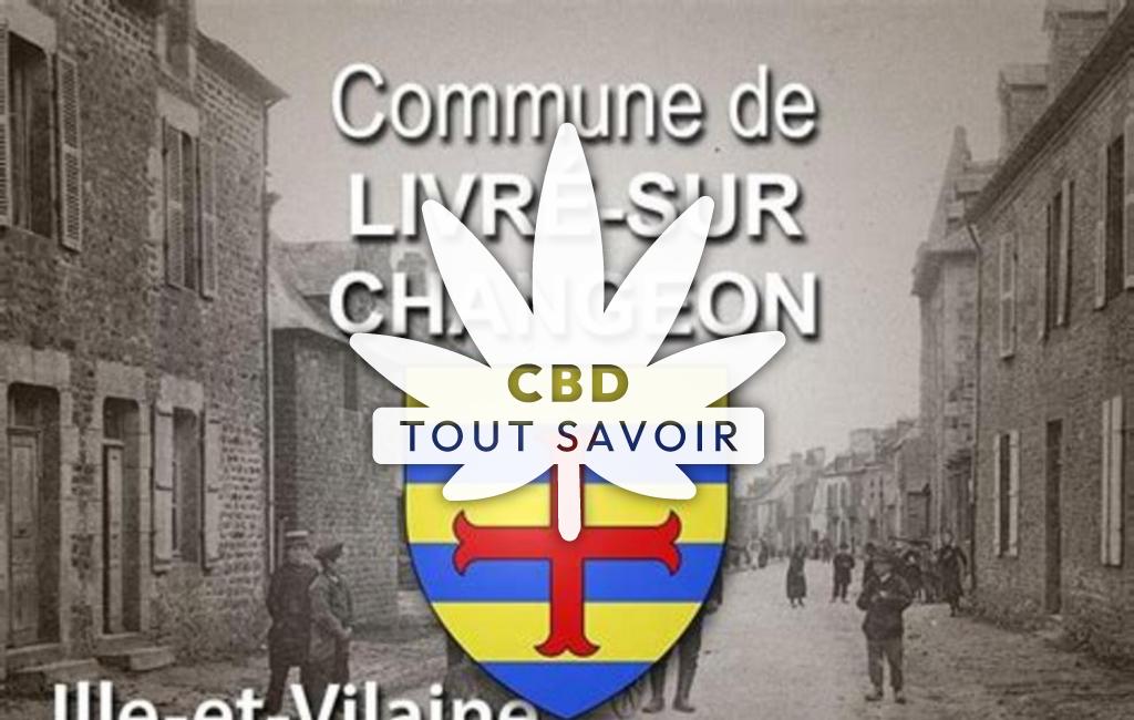 Village à Livre-sur-Changeon avec feuille Cannabis CBD