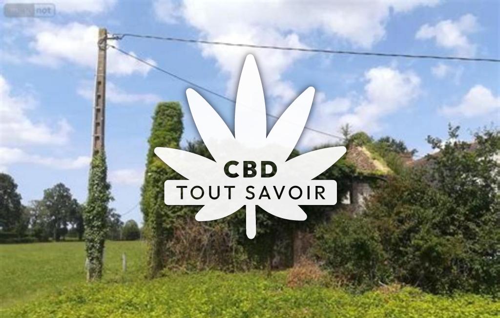 Village à Saint-Marc-le-Blanc avec feuille Cannabis CBD