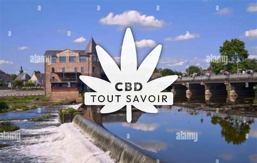 Village à Guipry-Messac avec feuille Cannabis CBD