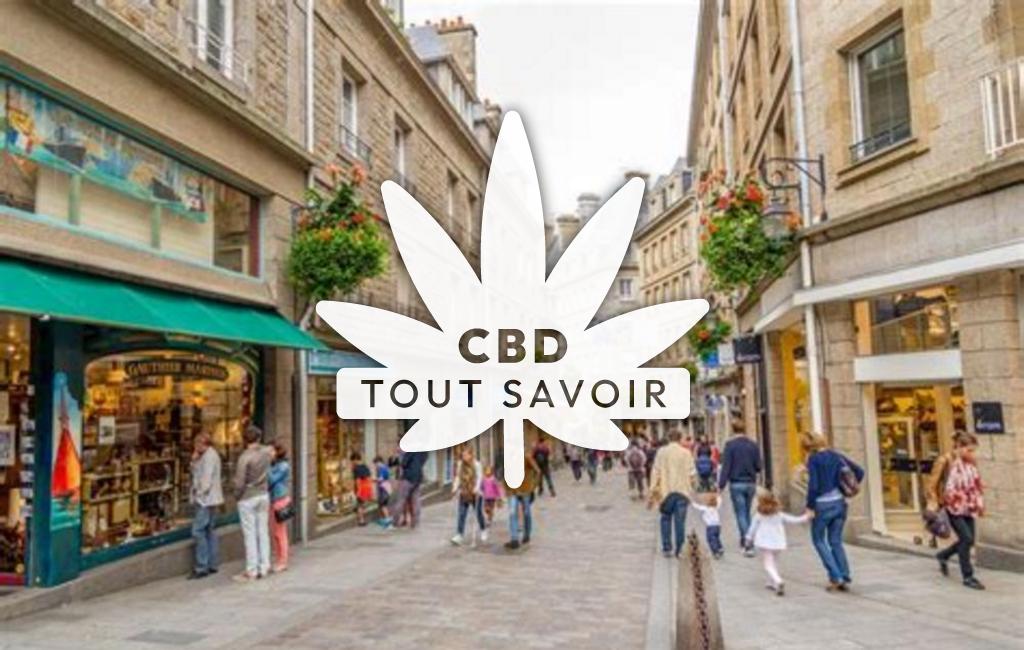 Village à Saint-Malo-de-Phily avec feuille Cannabis CBD