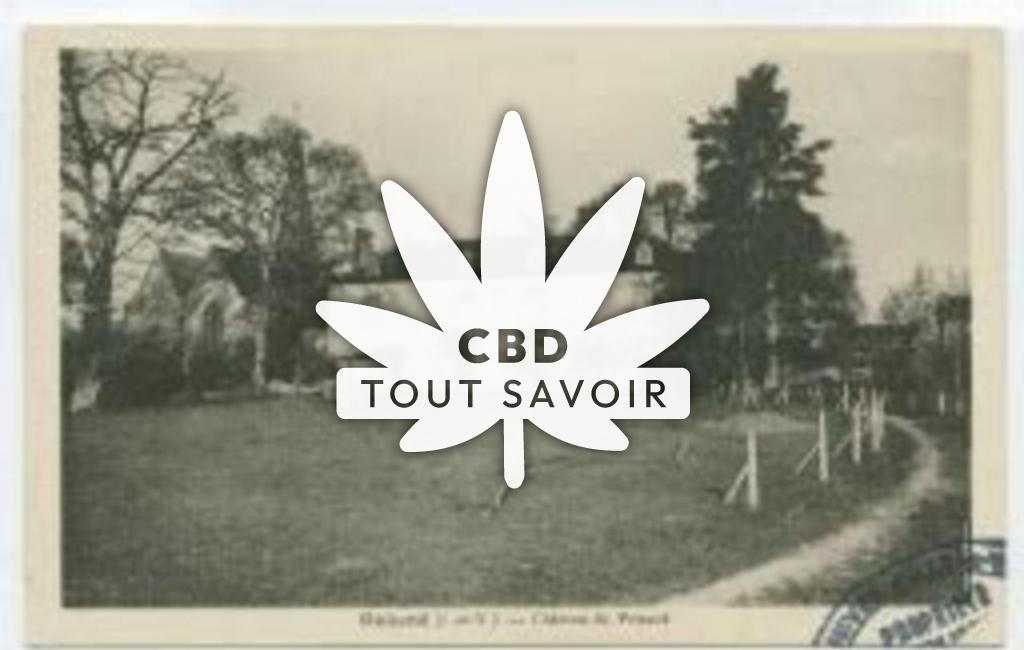 Village à Gahard avec feuille Cannabis CBD