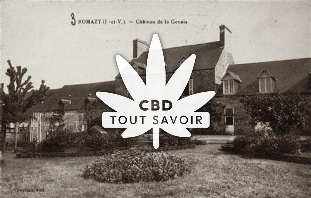 Village à Romazy avec feuille Cannabis CBD