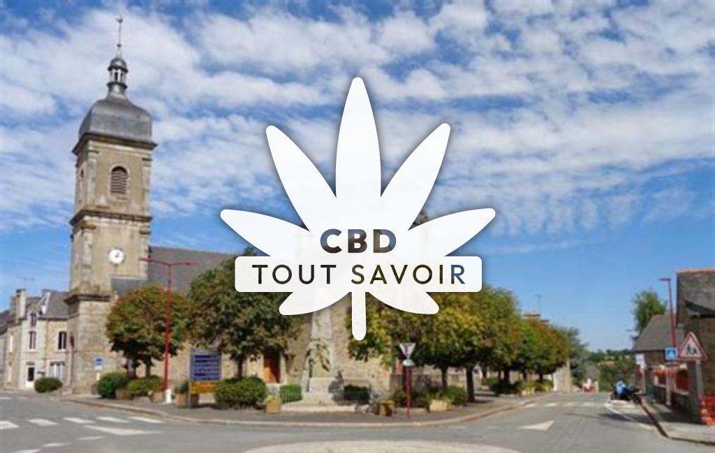 Village à Vieux-Vy-sur-Couesnon avec feuille Cannabis CBD