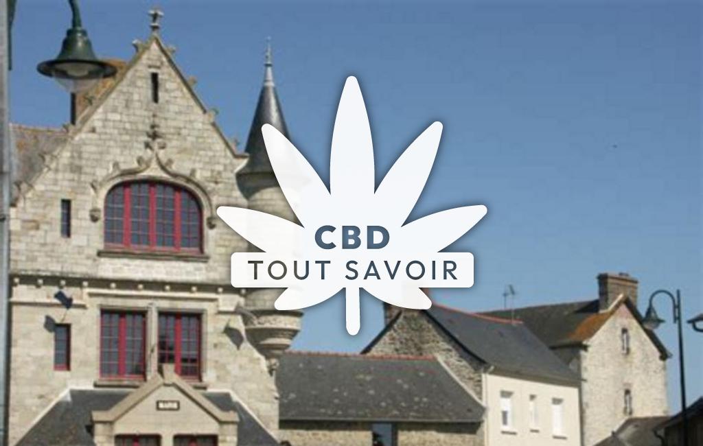 Village à La-Chapelle-Erbree avec feuille Cannabis CBD