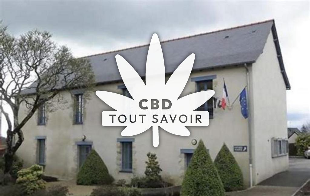 Village à Saint-Aubin-des-Landes avec feuille Cannabis CBD