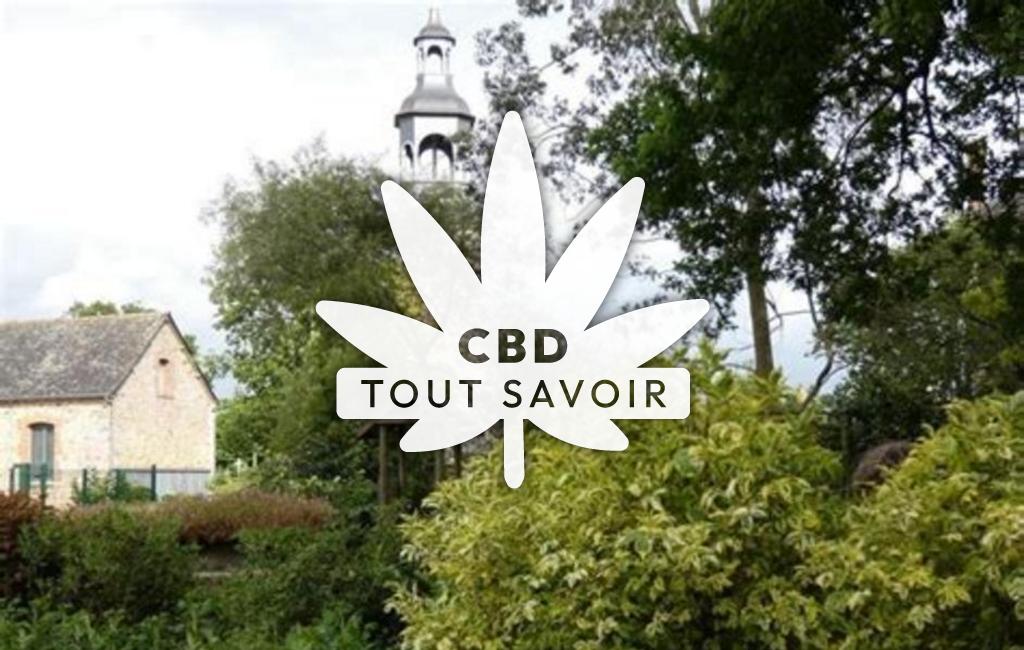 Village à Taillis avec feuille Cannabis CBD