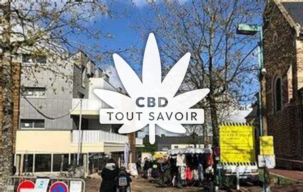 Village à La-Chapelle-des-Fougeretz avec feuille Cannabis CBD