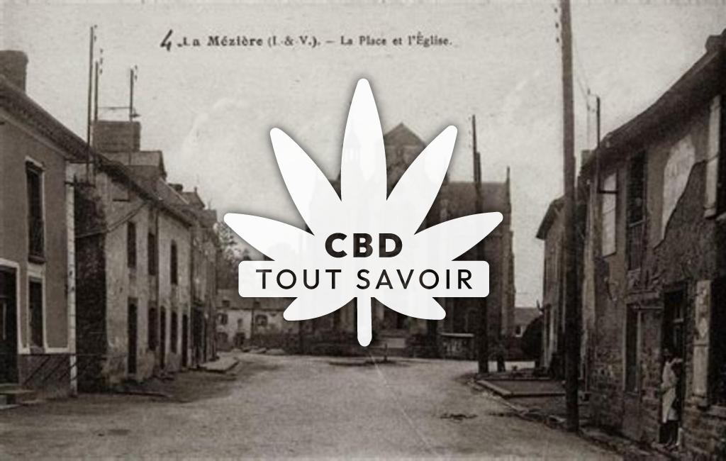Village à La-Meziere avec feuille Cannabis CBD