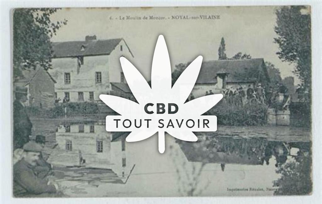 Village à Noyal-sur-Vilaine avec feuille Cannabis CBD