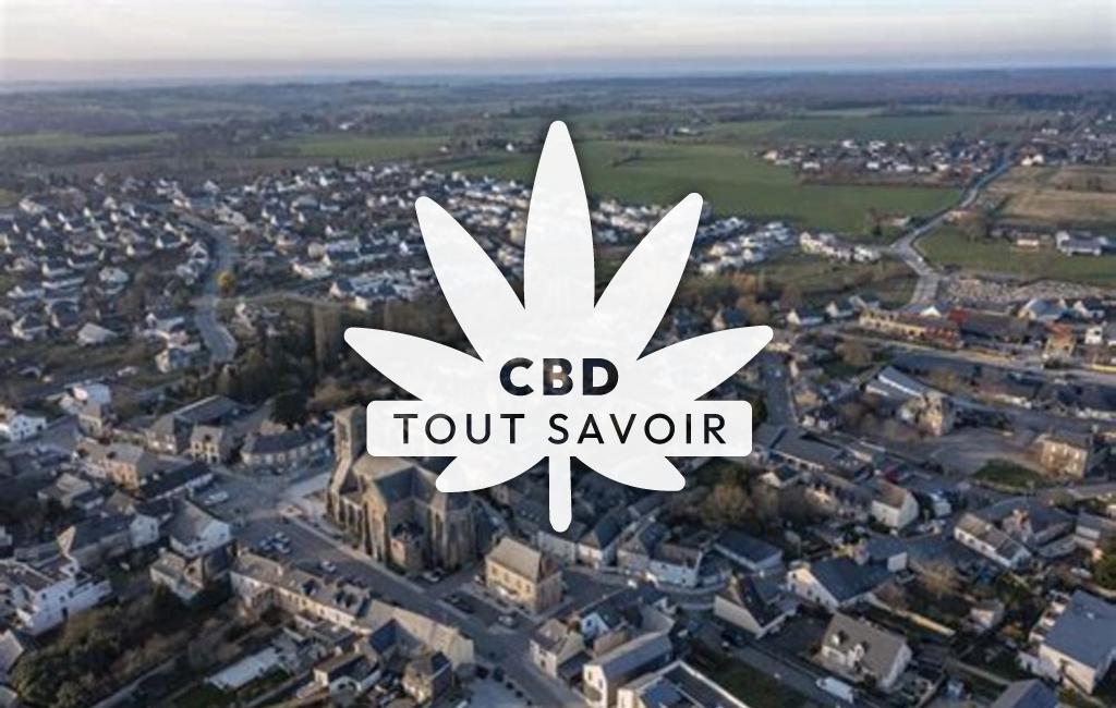 Village à Servon-sur-Vilaine avec feuille Cannabis CBD
