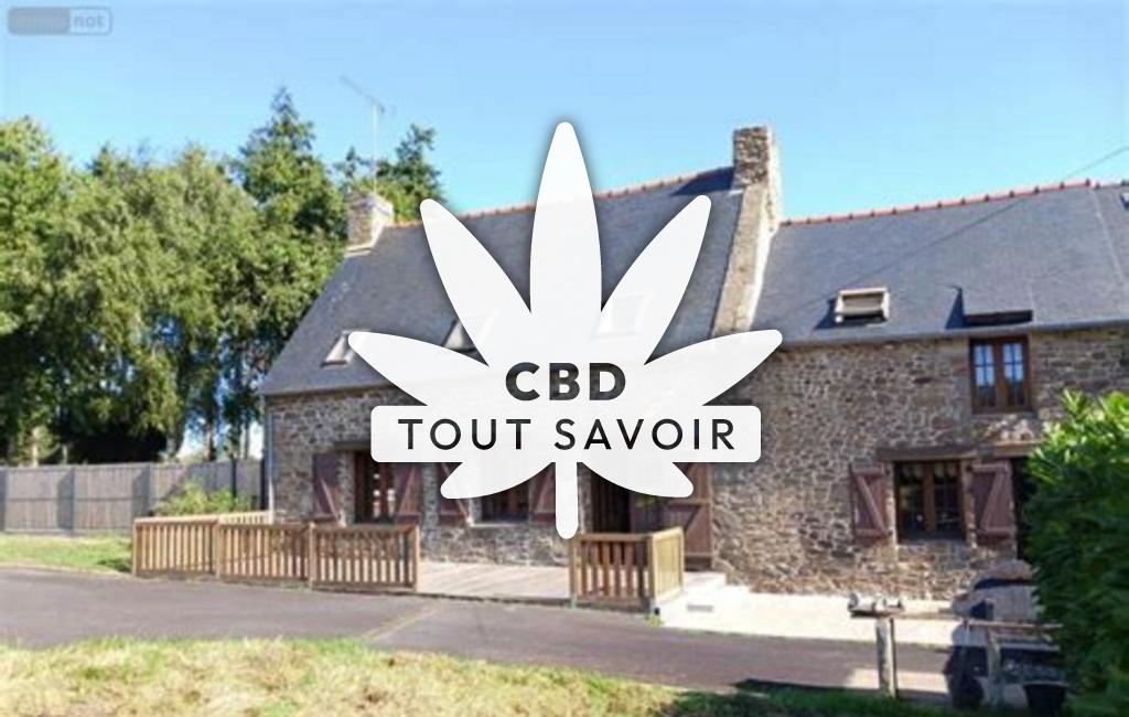 Village à Miniac-Morvan avec feuille Cannabis CBD